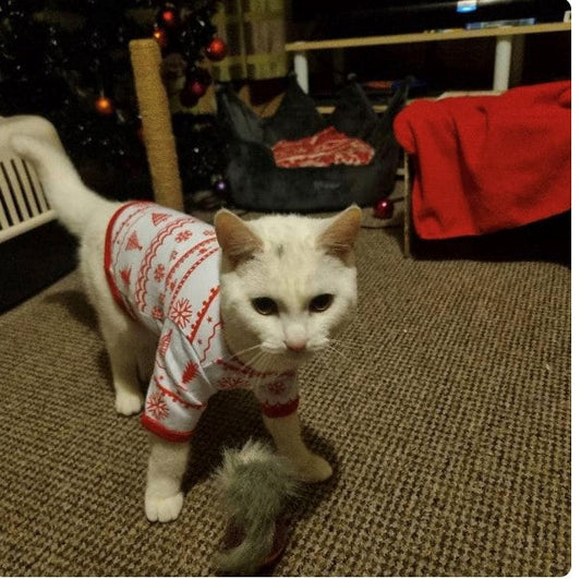 Cat Christmas Pajamas