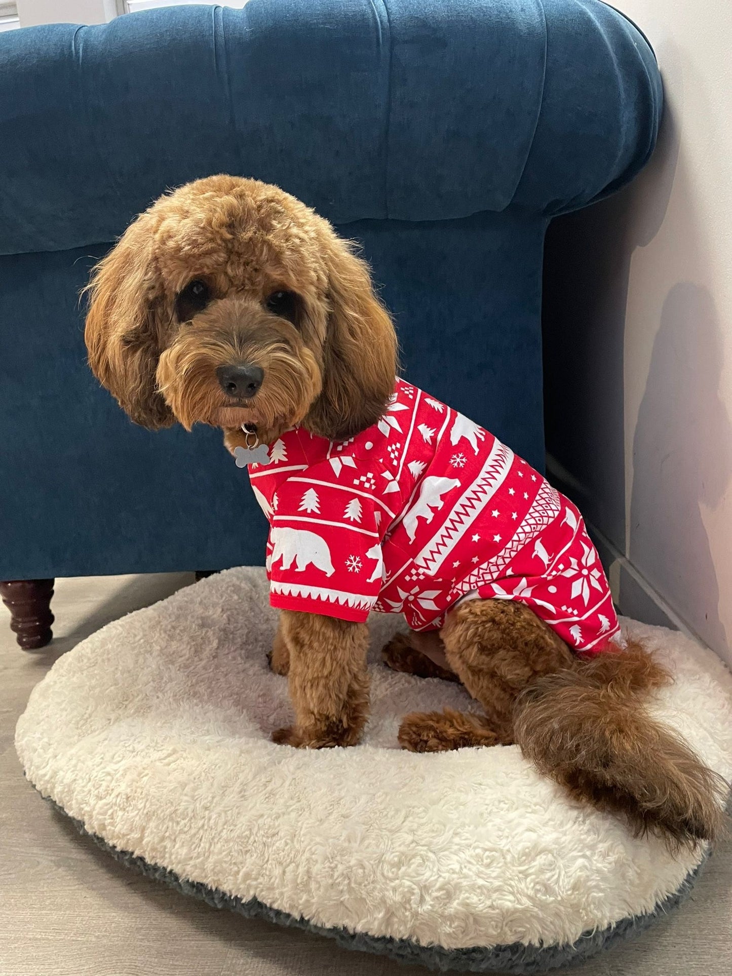 Red Magical Christmas Pyjamas