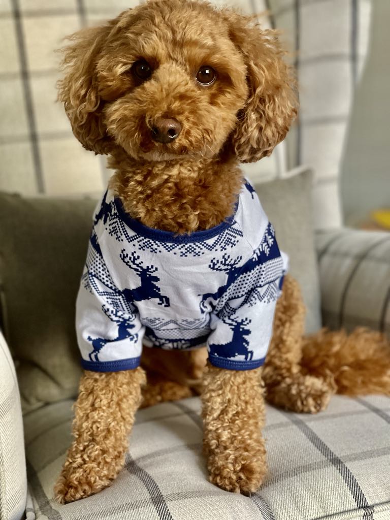 Dog Christmas Pajamas