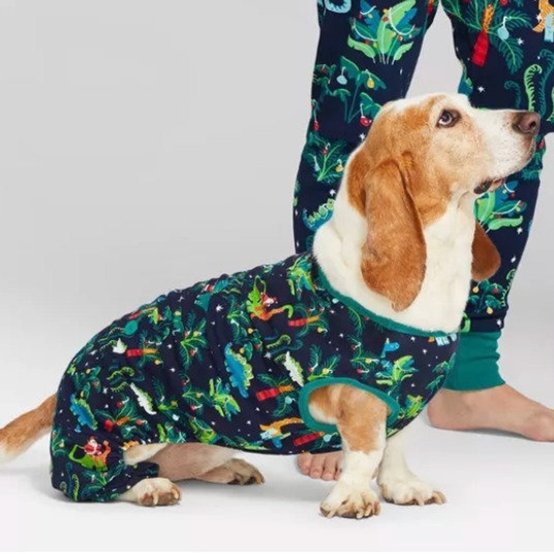 Dinosaur Dog Pajamas