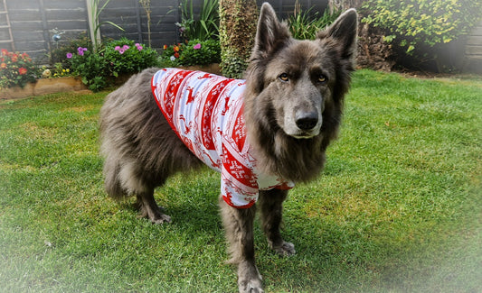 Dog Christmas Pajamas